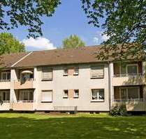 Wohnung zum Mieten in Gelsenkirchen 339,00 € 42.98 m²