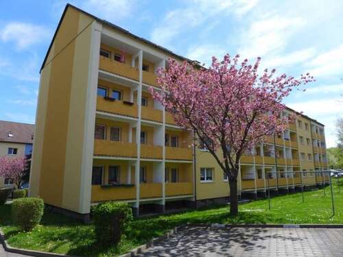 Foto - Wohnung zum Mieten in Limbach-Oberfrohna 355,00 € 63.09 m²