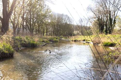 Foto - Haus zum Kaufen in Krefeld 595.000,00 € 142 m²