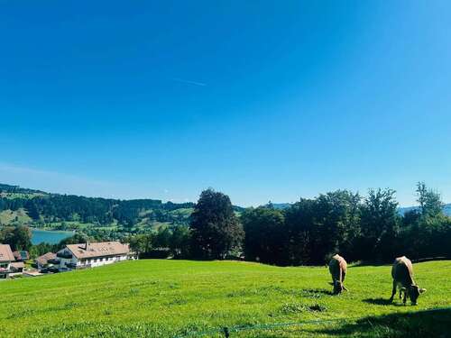 Foto - Wohnung zum Kaufen in Immenstadt 253.000,00 € 45.37 m²