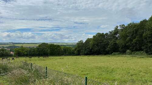 Foto - Grundstück zu verkaufen in Dingelstädt 22.000,00 € 1957 m²