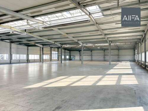 Foto - Halle in Geilenkirchen Niederheid 7.970,00 € 1594 m²