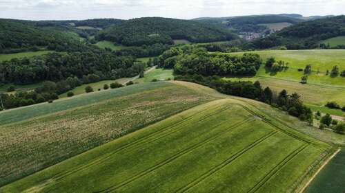 Foto - Grundstück in Katzenbach 22.120,00 € 11060 m²