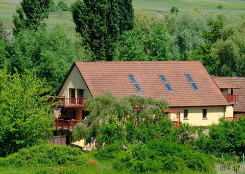 Foto - Haus zum Kaufen in Siebeldingen 878.000,00 € 407 m²