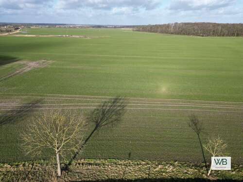 Foto - Grundstück zu verkaufen in Salzwedel 80.000,00 € 3000 m²