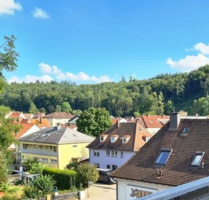 Wohnung zum Kaufen in Heidenheim 240.000,00 € 52 m²