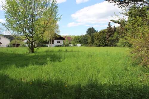 Foto - Grundstück zu verkaufen in Obersinn 205.500,00 € 4209 m²