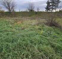 Grundstück zu verkaufen in Waghäusel-Wiesental 419.000,00 € 704 m²