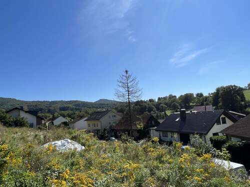 Foto - Grundstück zu verkaufen in Bensheim 925.000,00 € 3300 m²