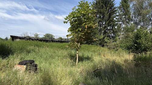 Foto - Grundstück zu verkaufen in Bienenbüttel 283.500,00 € 945 m²