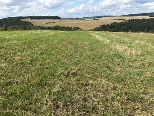 Foto - Grundstück zum Mieten in Horschbach 10.000,00 € 60000 m²