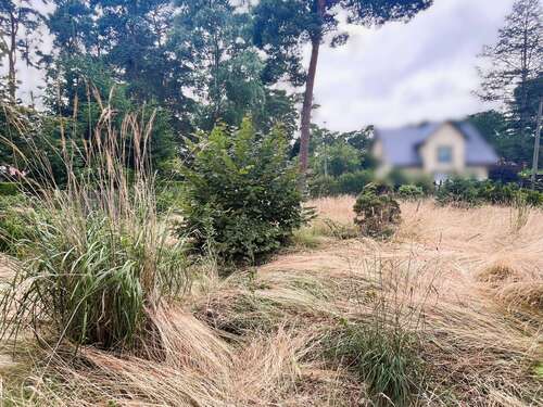 Foto - Grundstück zu verkaufen in Königs Wusterhausen 299.900,00 € 1112 m²