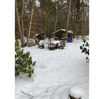 Haus zum Kaufen in Jesteburg 559.000,00 € 175 m²