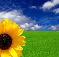 Haus zum Kaufen in Wolfratshausen 1.185.000,00 € 136 m²