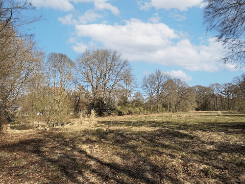 Foto - Grundstück zu verkaufen in Mechtersen 249.000,00 € 1395 m²