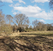 Grundstück zu verkaufen in Mechtersen 249.000,00 € 1395 m²