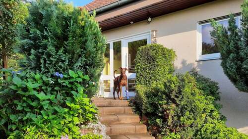 Foto - Haus zum Kaufen in Leidersbach 450.000,00 € 130 m²