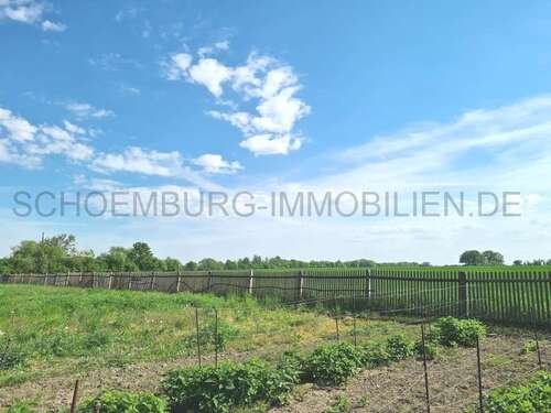 Foto - Haus zum Kaufen in Markranstädt 450.000,00 € 112 m²