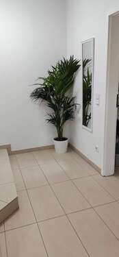 Foto - Wohnung zum Mieten in Odenthal 790,00 € 58 m²