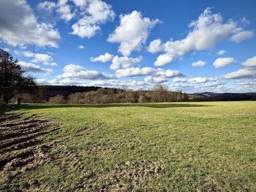 Foto - Grundstück zu verkaufen in Blieskastel 195.000,00 € 1427 m²