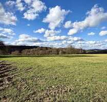 Grundstück zu verkaufen in Blieskastel 195.000,00 € 1427 m²