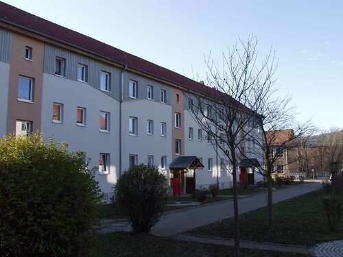 Foto - Wohnung zum Mieten in Plaue 401,70 € 59.16 m²