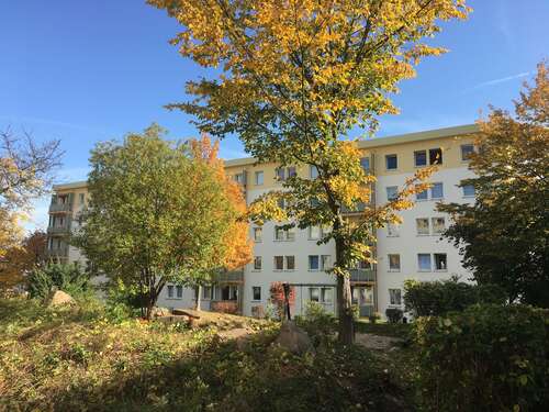 Foto - Wohnung zum Mieten in Mittweida 280,00 € 46.2 m²