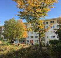 Wohnung zum Mieten in Mittweida 280,00 € 46.2 m²