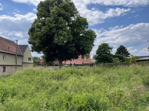 Foto - Grundstück zu verkaufen in Lützen 110.000,00 € 693 m²