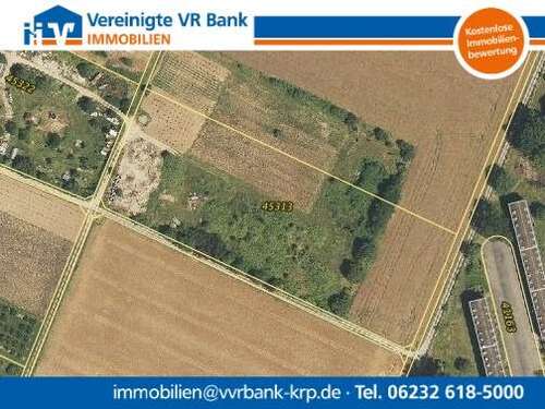 Foto - Grundstück in Heidelberg 262.940,00 € 13147 m²