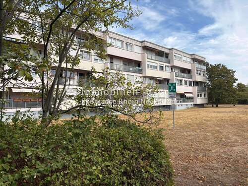 Foto - Wohnung zum Kaufen in Mannheim 250.000,00 € 79 m²