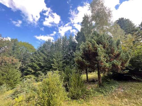 Foto - Grundstück zu verkaufen in Zschopau 25.000,00 € 2560 m²