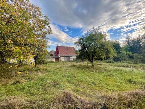 Foto - Grundstück zu verkaufen in Walsdorf 89.000,00 € 555 m²