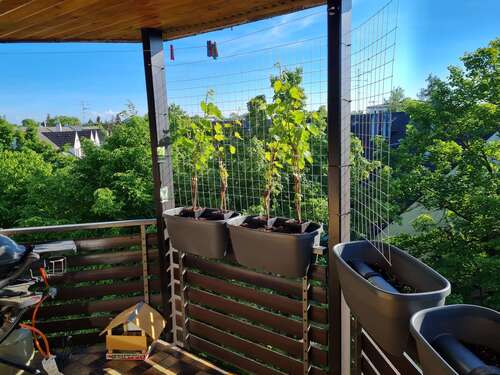 Foto - Wohnung zum Mieten in Kirchheim b. München 1.600,00 € 92.09 m²