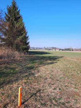 Foto - Grundstück zu verkaufen in Schönwald 99.990,00 € 1187 m²