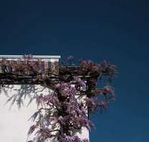 Haus zum Kaufen in Wiesloch 525.000,00 € 168 m²