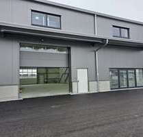 Halle in Neu-Ulm 3.500,00 € 209 m²
