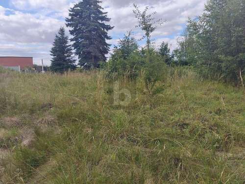Foto - Grundstück zu verkaufen in Wermsdorf 90.000,00 € 1500 m²