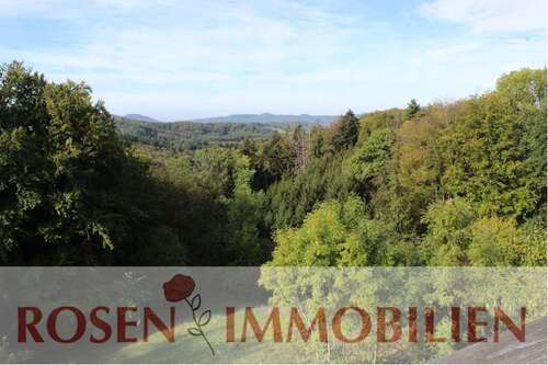 Foto - Wohnung zum Mieten in Wald-Michelbach 380,00 € 40 m²