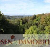 Wohnung zum Mieten in Wald-Michelbach 380,00 € 40 m²
