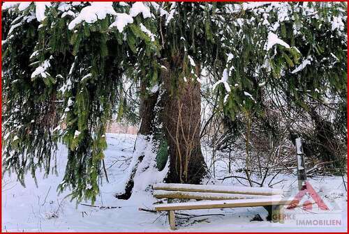Foto - Grundstück zu verkaufen in Medebach Oberschledorn 75.000,00 € 1100 m²
