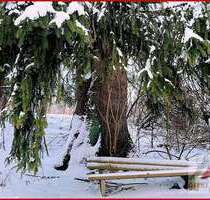 Grundstück zu verkaufen in Medebach Oberschledorn 75.000,00 € 1100 m² - Medebach / Oberschledorn