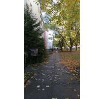 Wohnung zum Mieten in Dresden 390,00 € 54.1 m²