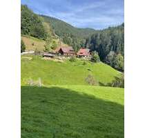 Haus zum Kaufen in Oberwolfach Walke 840.000,00 € 200 m²