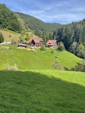 Foto - Haus zum Kaufen in Oberwolfach Walke 870.000,00 € 200 m²