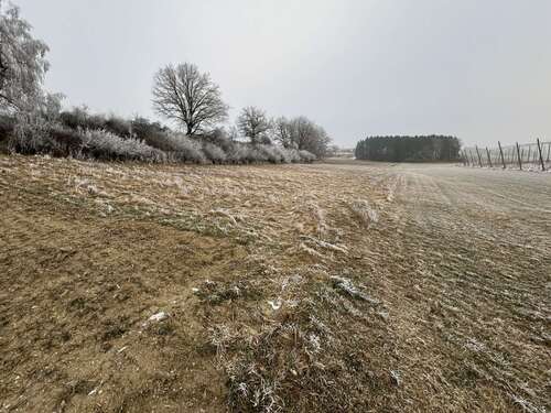 Foto - Grundstück in Volkenschwand 62.520,00 € 5210 m²