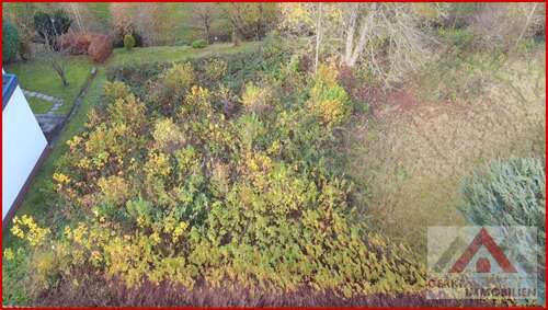 Foto - Grundstück zu verkaufen in Olsberg 119.000,00 € 1175 m²