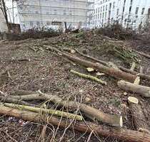 Wohnung zum Kaufen in Eberswalde 105.448,50 € 19.71 m²