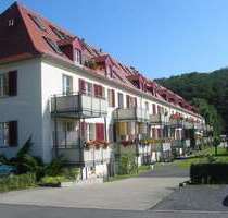 Wohnung zum Mieten in Pirna 420,00 € 50 m²