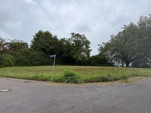 Foto - Grundstück zu verkaufen in Sinsheim-Steinsfurt 600.000,00 € 961 m²